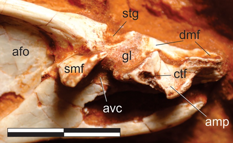 Fig 13