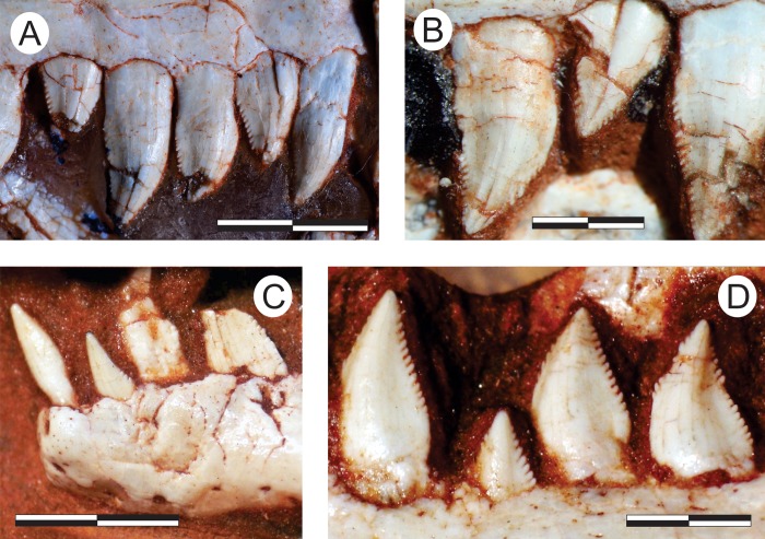 Fig 14