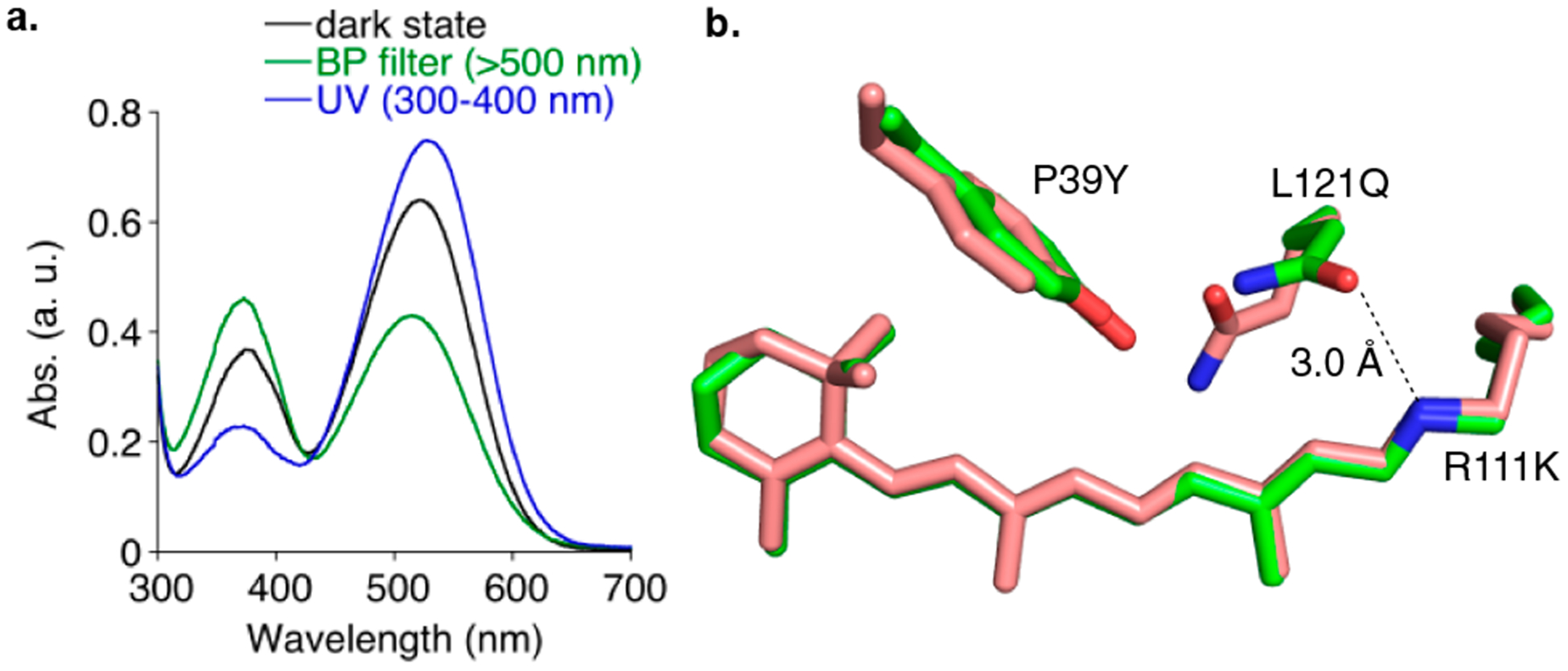 Figure 5.