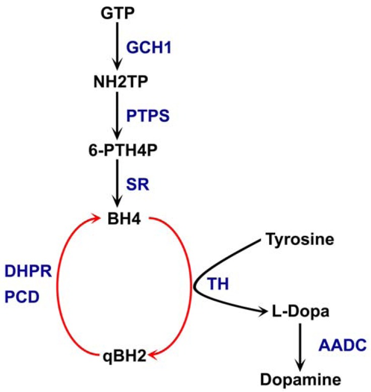 Fig. (1)