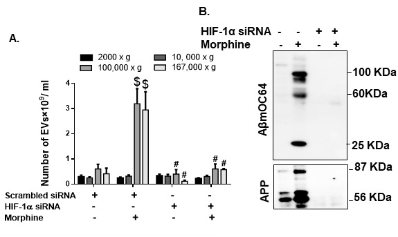 Figure 9.