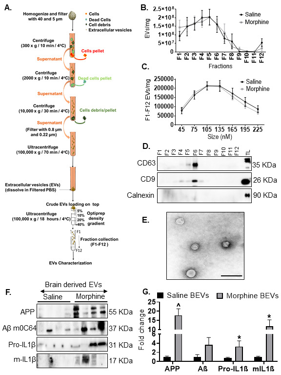 Figure 10.