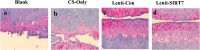 Figure 10.