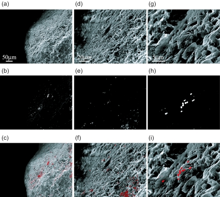 FIG. 4.