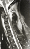 Fig. 9.