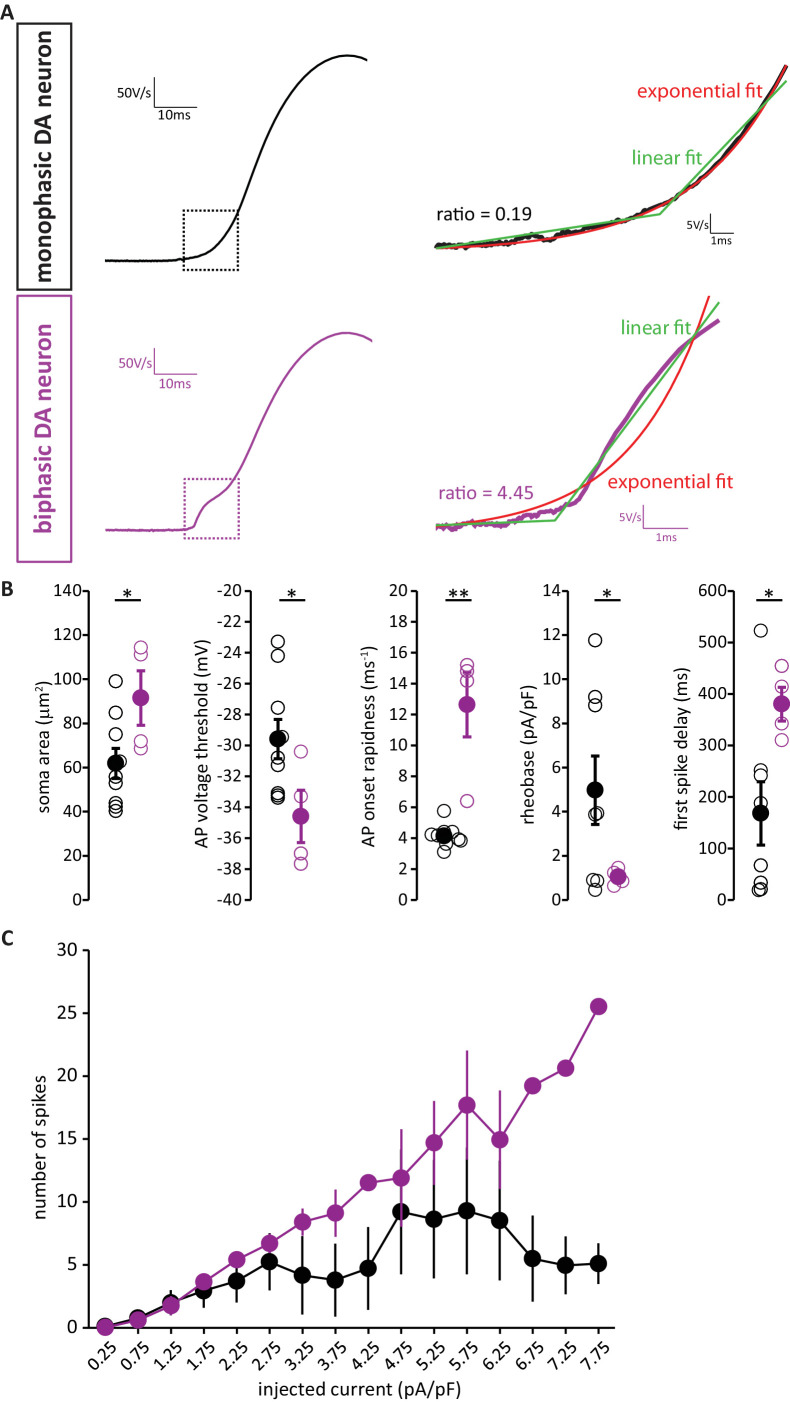 Figure 8—figure supplement 1.