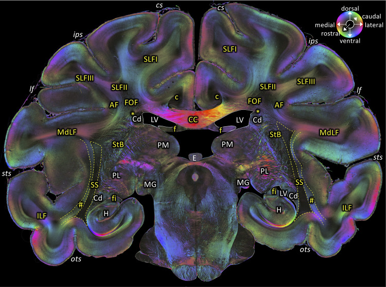 Figure 6.