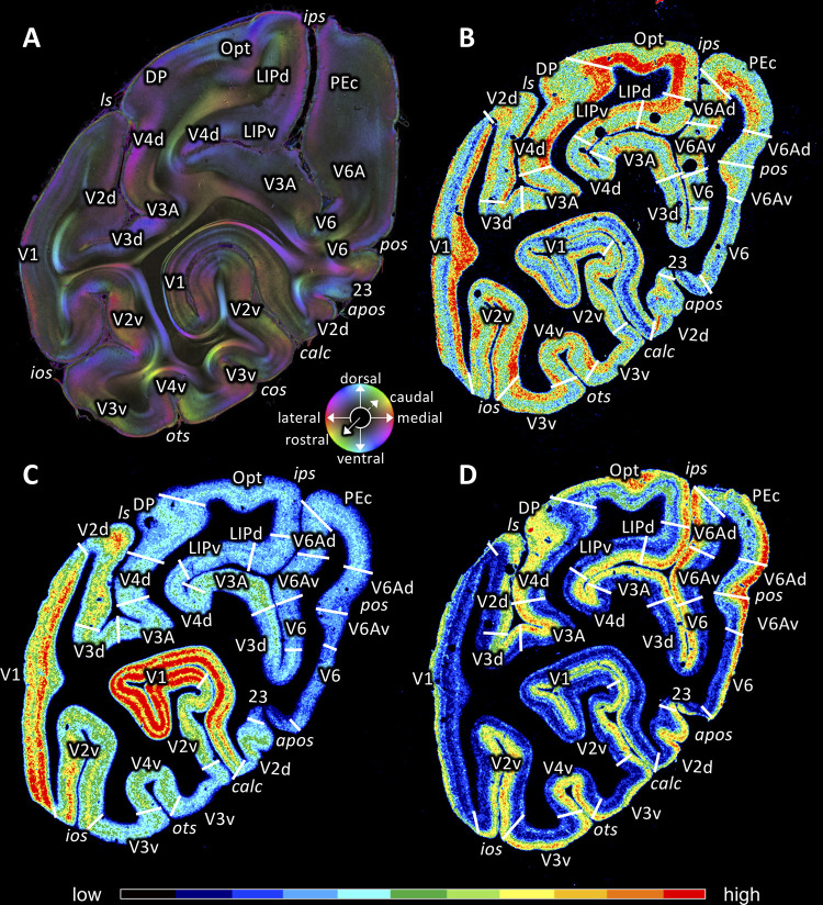 Figure 12.