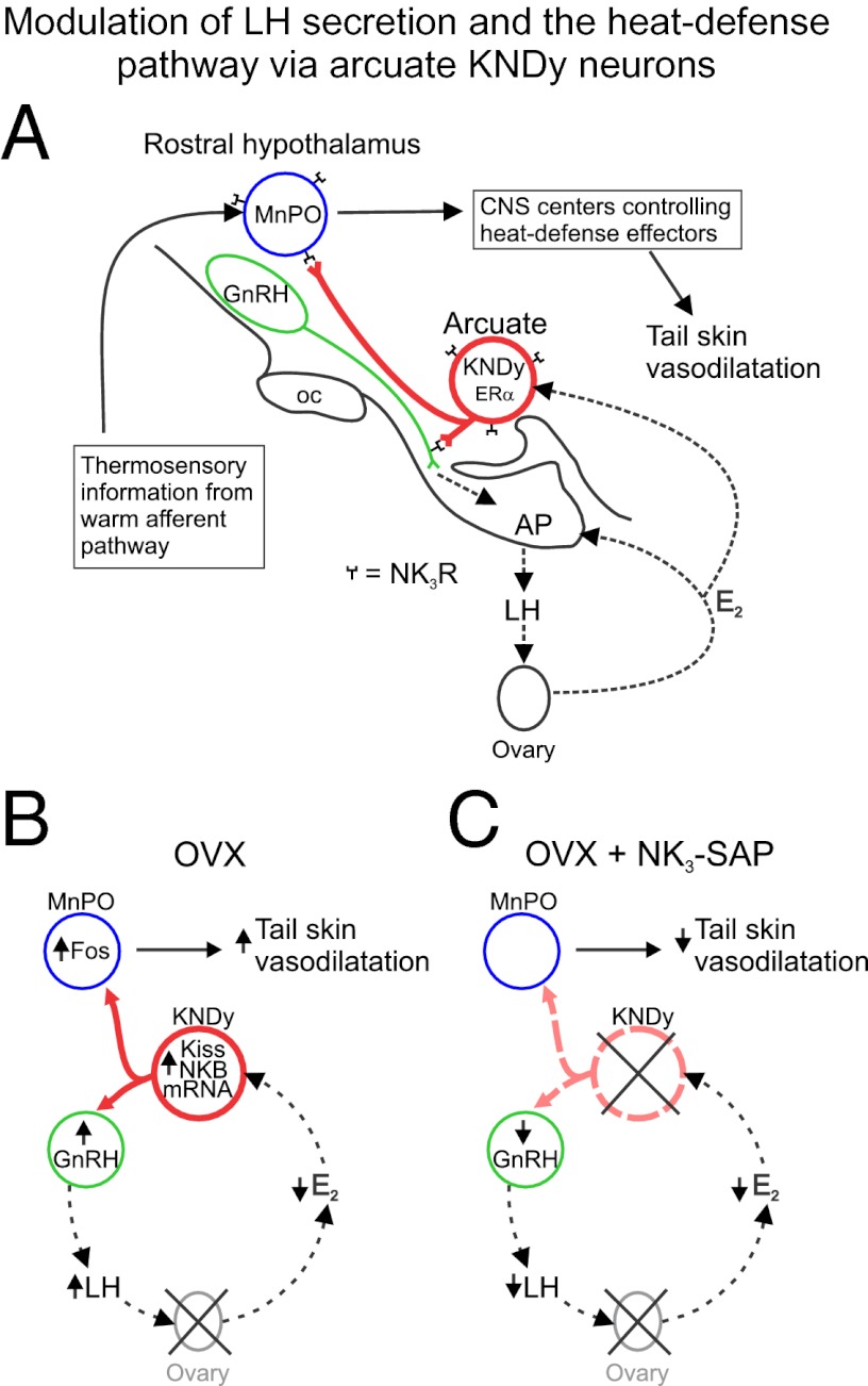 Fig. 5.