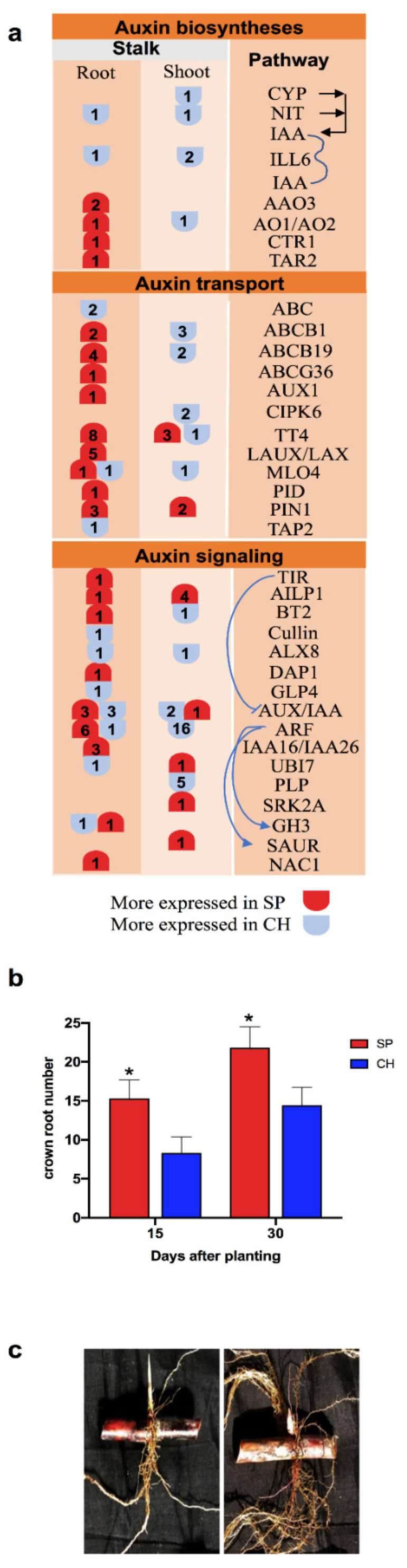 Figure 7