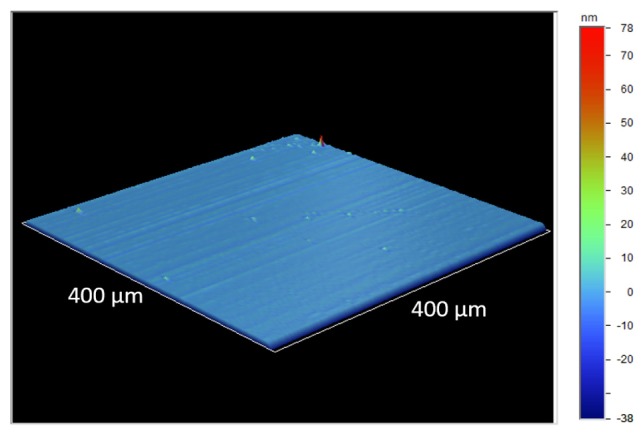 Fig. 10