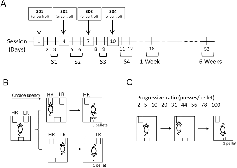 Figure 1: