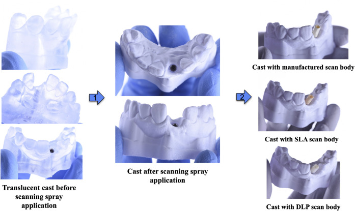 Fig 3
