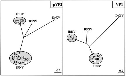 FIG. 6.