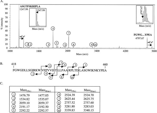 FIG. 2.