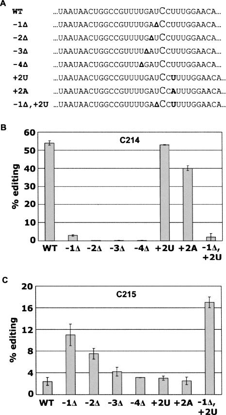 FIGURE 7.