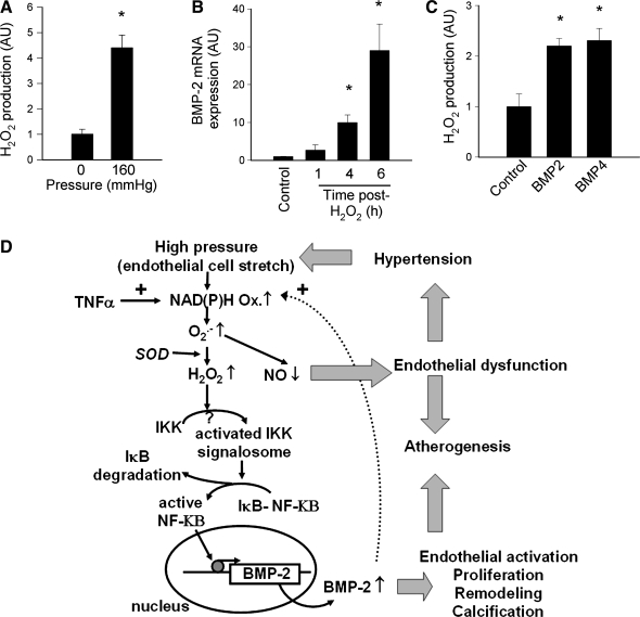 FIG. 1.