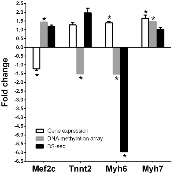 Figure 9