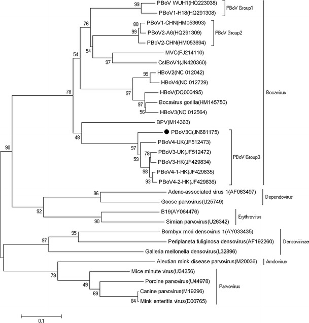 Fig. 2