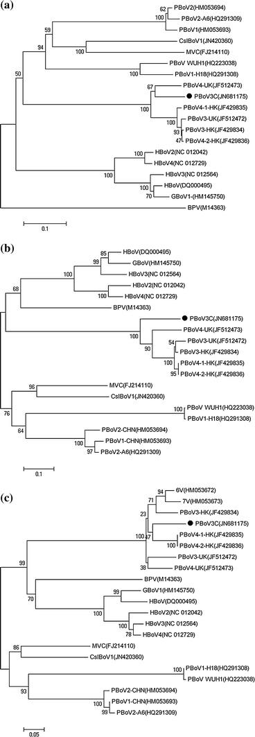 Fig. 3