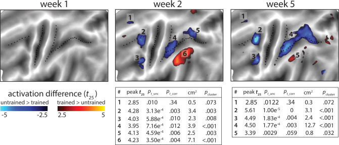 Figure 4—figure supplement 1.