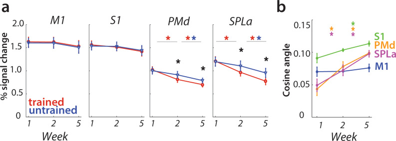 Figure 3—figure supplement 1.