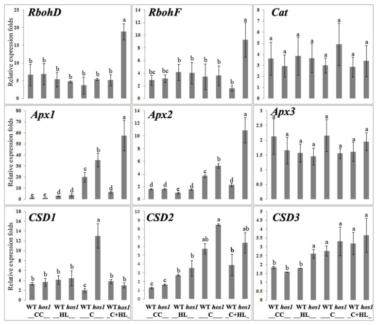 Figure 5