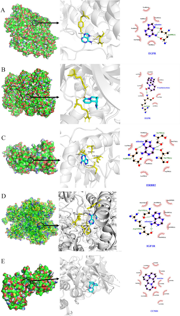 Figure 10