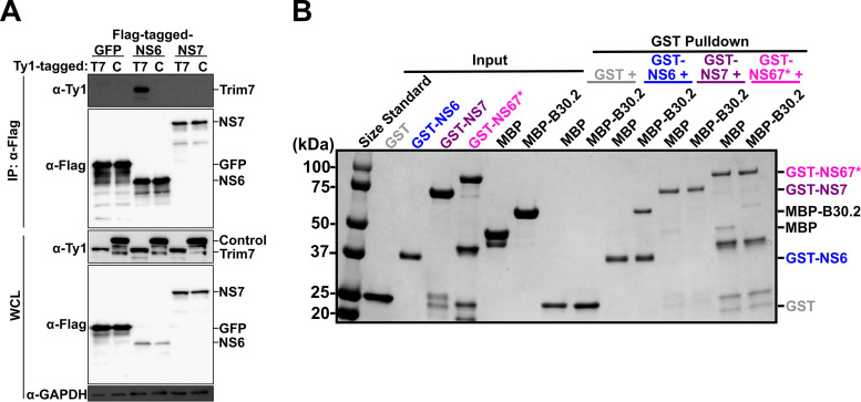 FIG 5