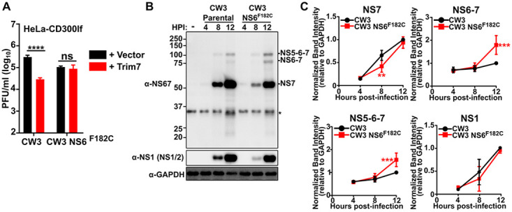 FIG 4