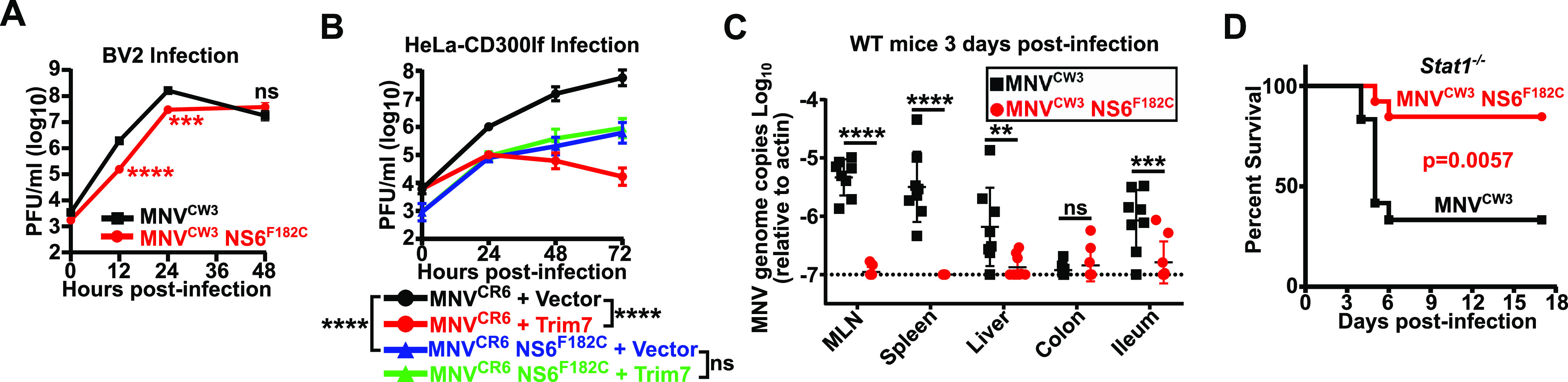 FIG 6