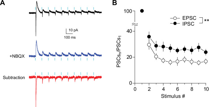 Figure 5—figure supplement 1.