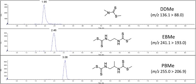 Fig. 4. LC-MS/MS chromatograms from the analysis of beer samples spiked with EBMe, PBMe, and DDMe. The spiked concentrations were 10 µg/kg for EBMe and PBMe and 100 µg/kg for DDMe.