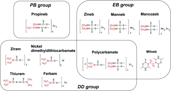 Fig. 1. Structures of the 10 dithiocarbamate fungicides of interest.