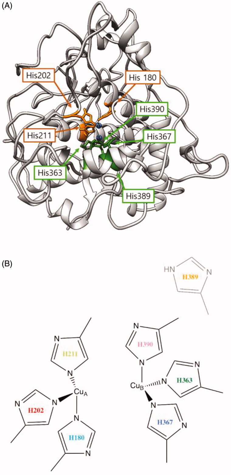 Figure 3.