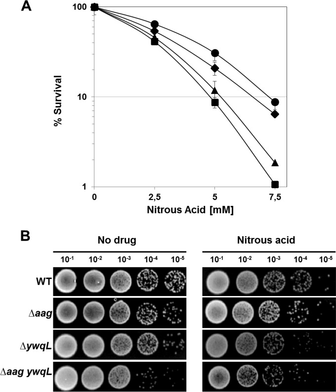 FIG 6