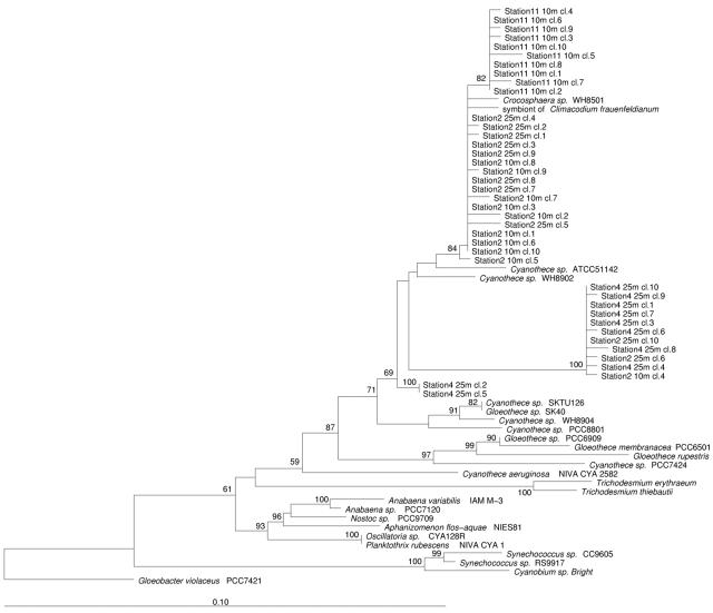 FIG. 6.