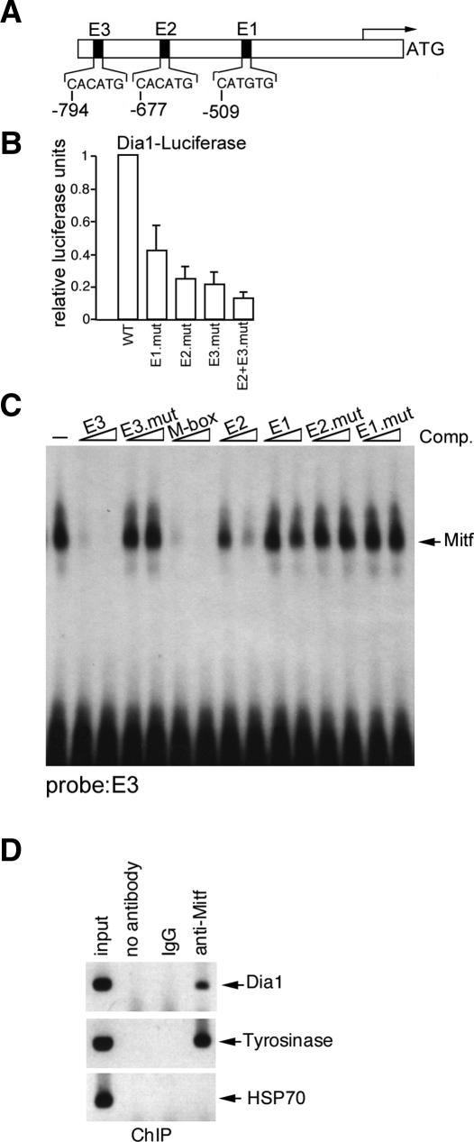 Figure 5.