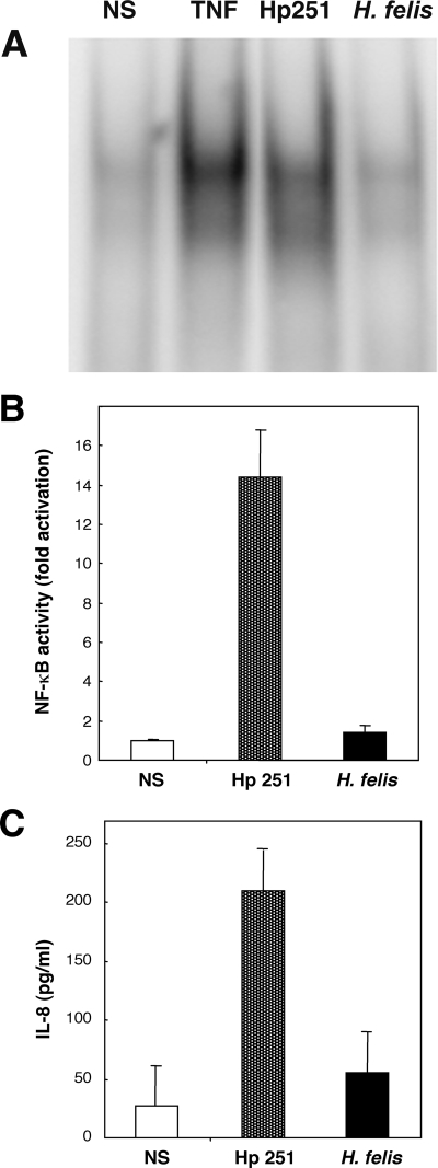 FIG. 2.