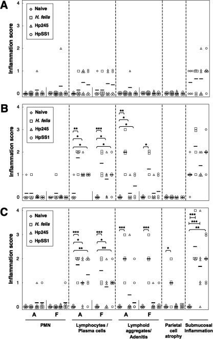 FIG. 4.