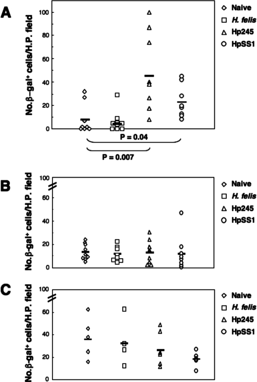 FIG. 6.