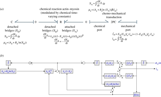 Figure 5.