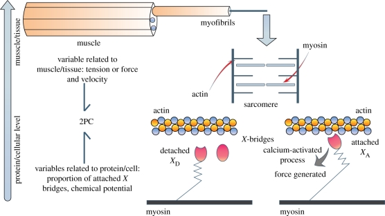 Figure 4.