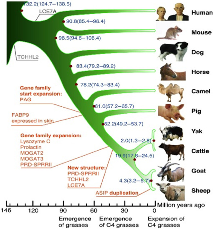 FIGURE 1