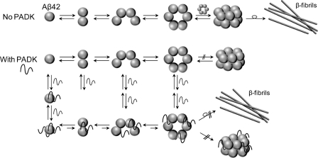 SCHEME 1.