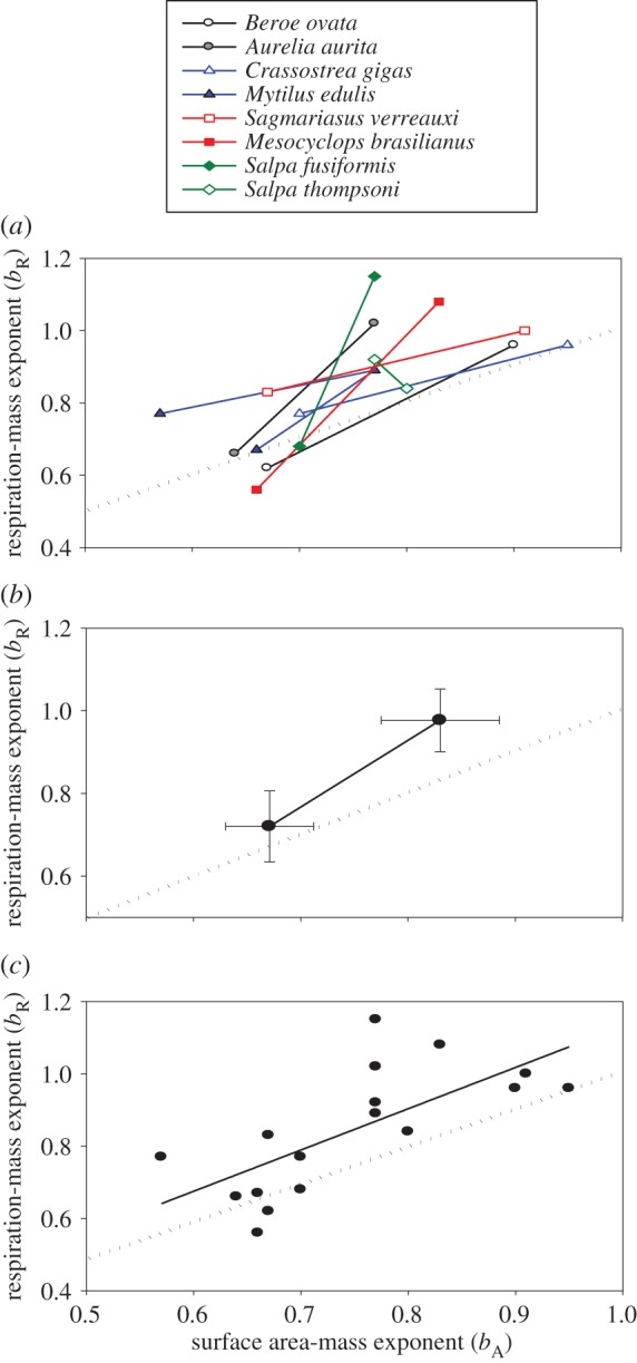 Figure 2.