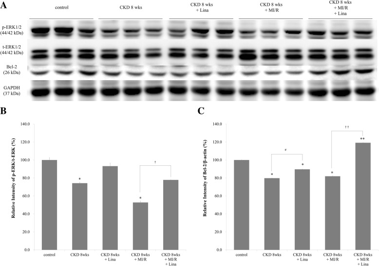 Fig. 11