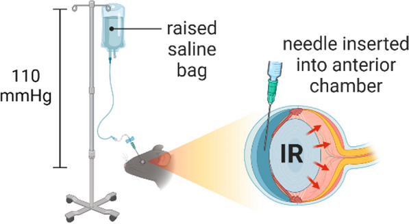 Fig. 6