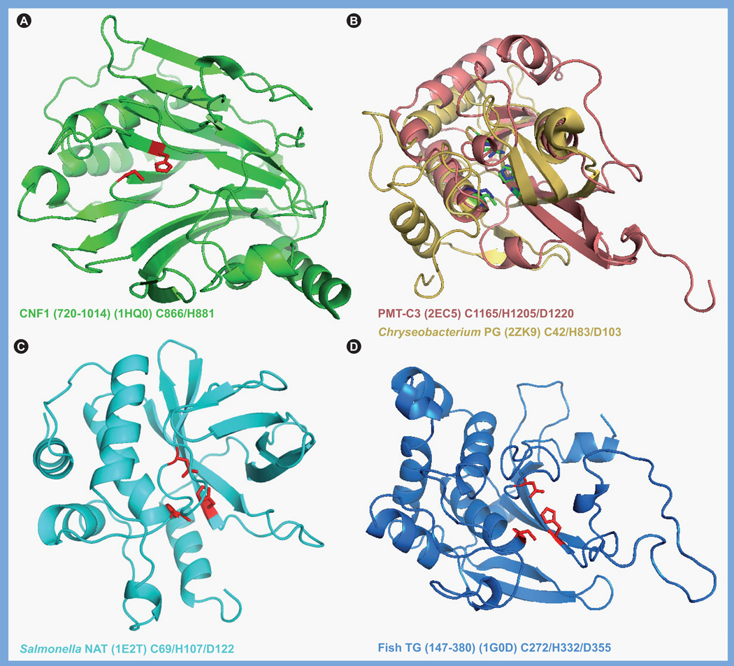 Figure 4