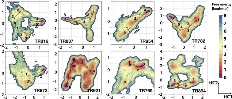 Fig. 2.